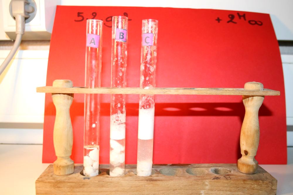 gal/LES_CINQUIEMES/ACTIVITE DIGESTION IN VITRO/Groupe_02/Groupe02_T_02h00min/Groupe02_temps02H00min_28.jpg
